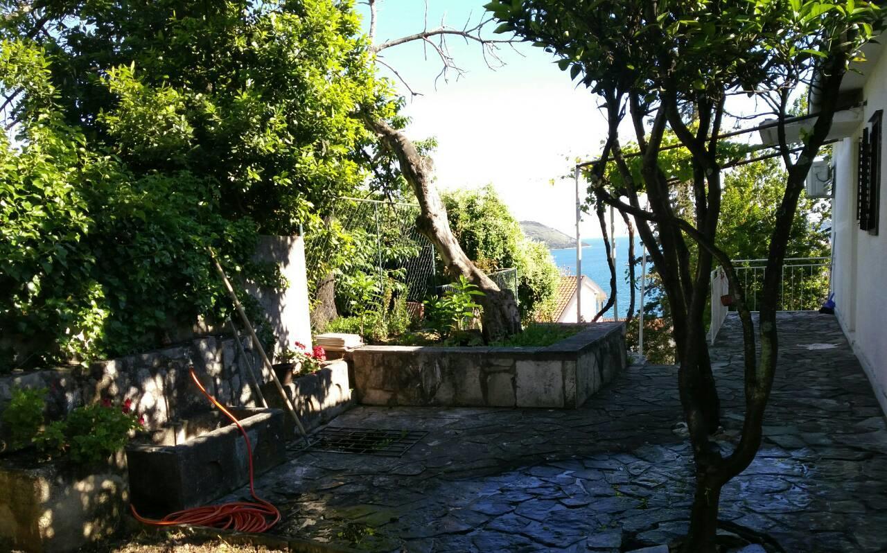 House Orange Apartments Herceg Novi Exterior photo